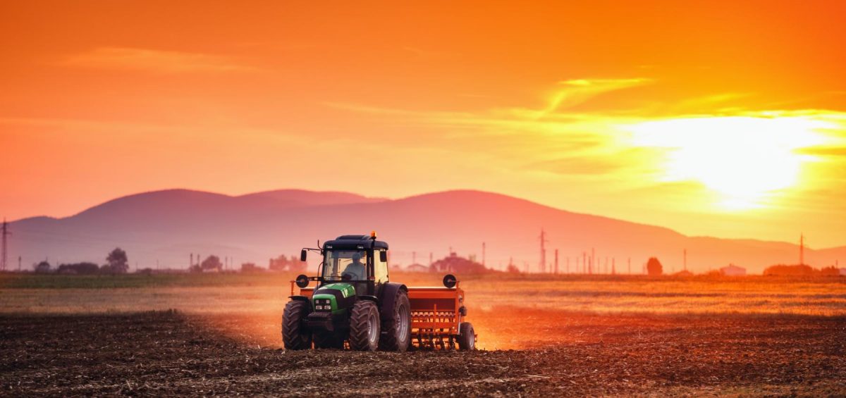 Beautiful sunset, farmer in tractor preparing land with seedbed